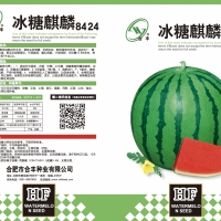村电饭锅地方公电费公电费个